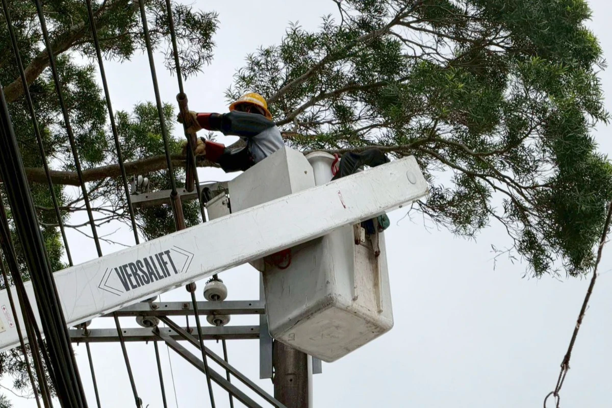 薔琵颱風釀全台14.6萬戶停電　台電急調人員北上支援