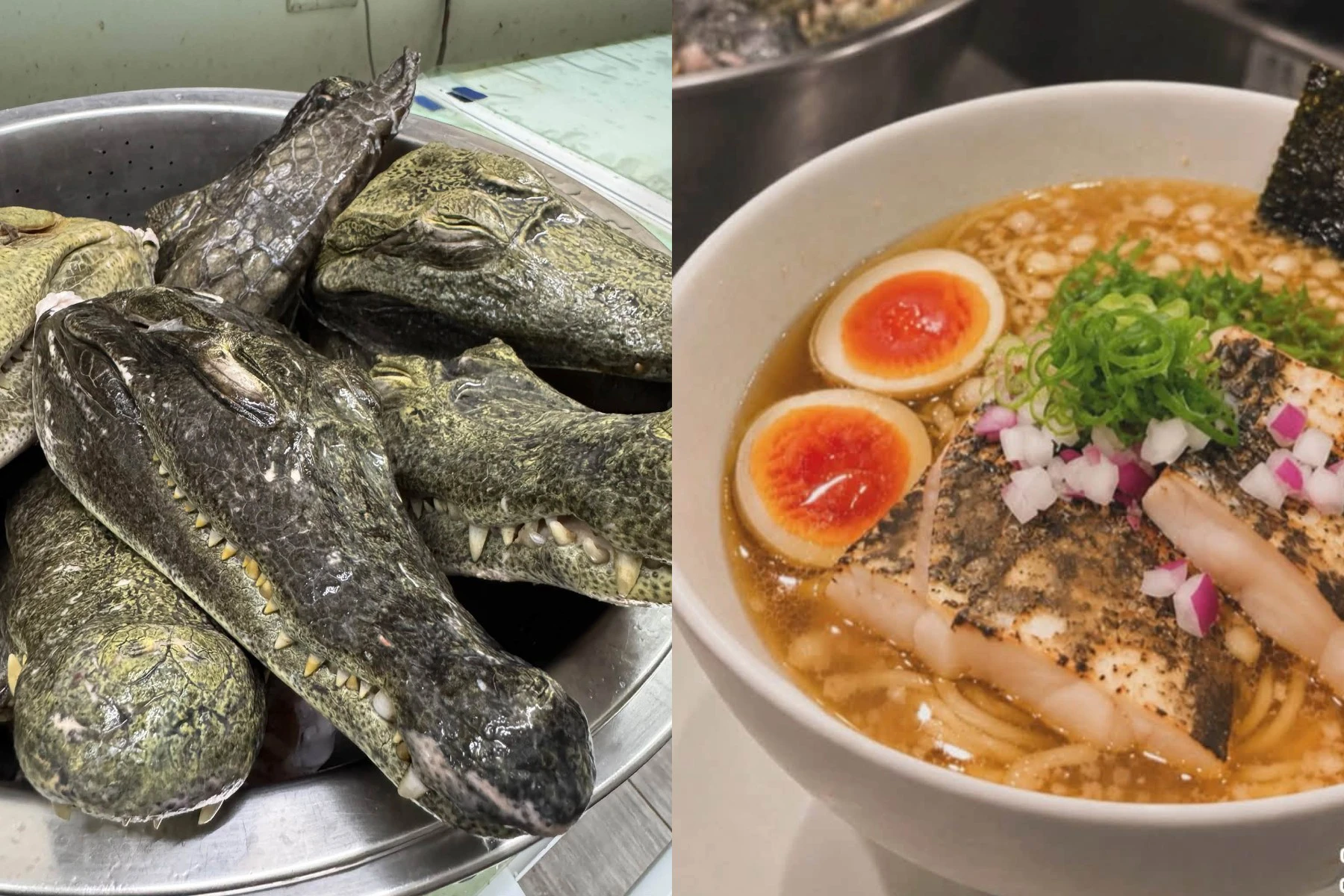 你鱷了嗎?台南「二男家」推萬聖節限定「鱷魚頭煮干拉麵」 每日限量 20 碗